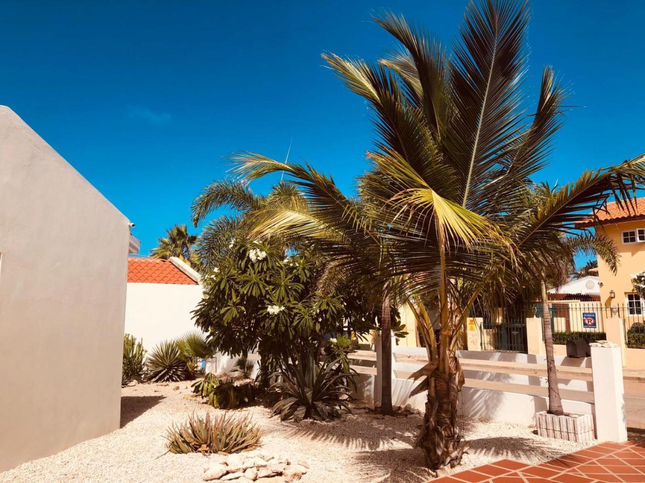 Karibu Aruba Boutique Hotel Palm Beach Exterior photo