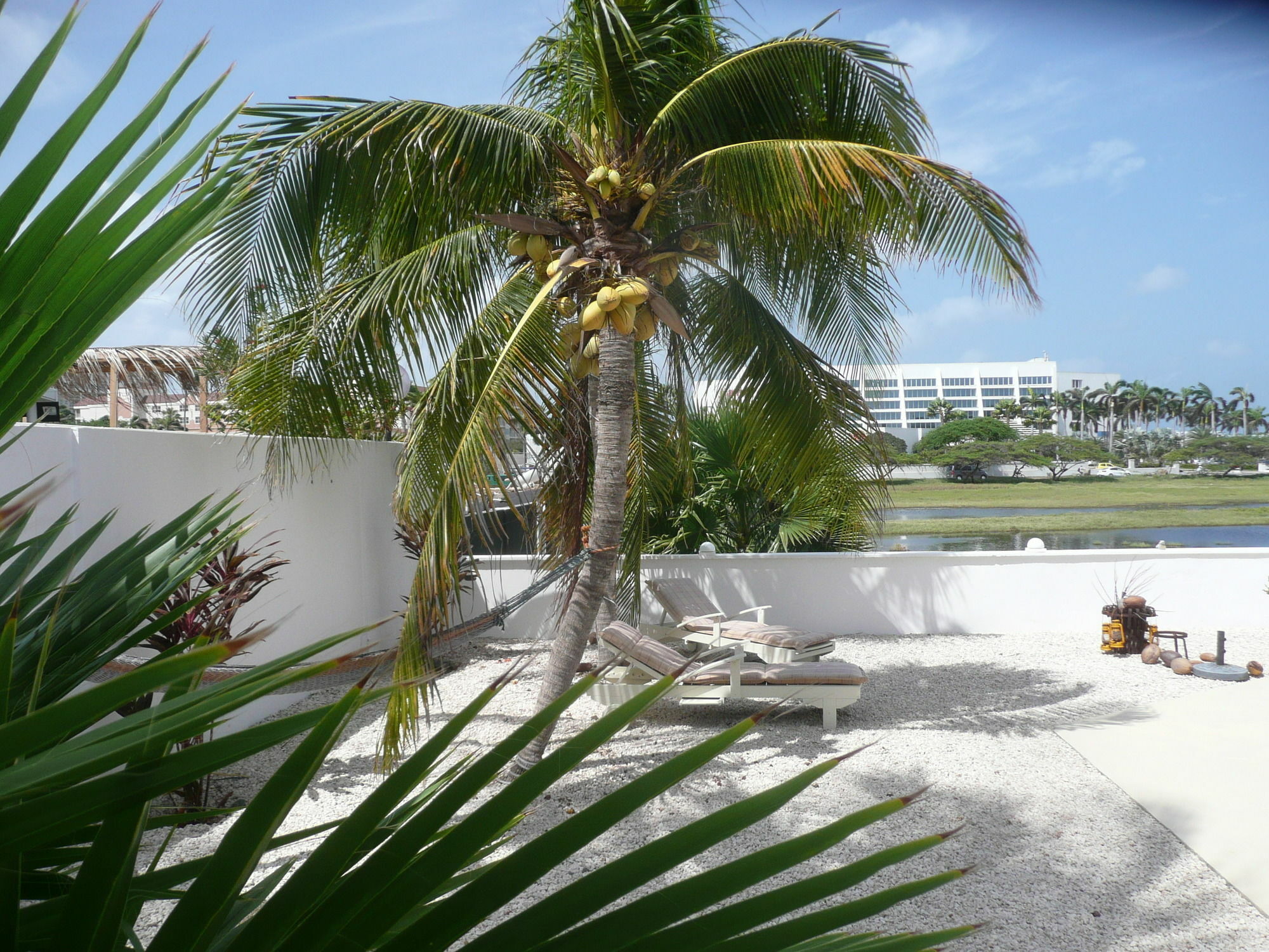 Karibu Aruba Boutique Hotel Palm Beach Exterior photo